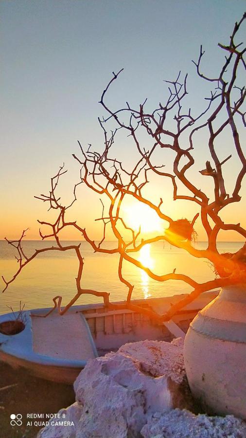 Sea Sound Villa Agios Dimitrios  Exterior photo